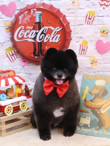 20230908れおくん